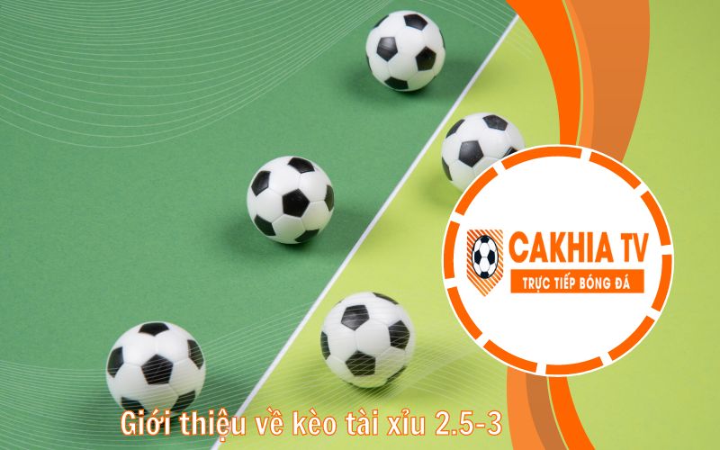 Giới thiệu về kèo tài xỉu 2.5-3